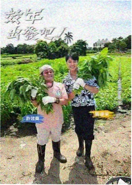 创造营2026 选秀综艺